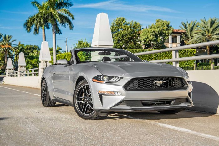 Ford Mustang GT Premium Grey